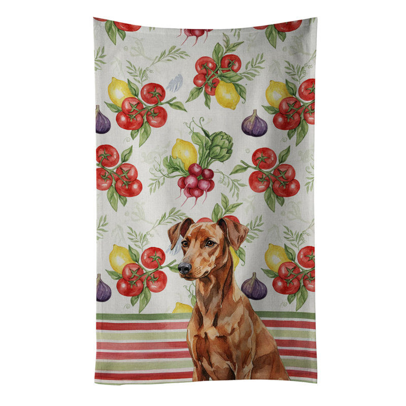 Torchon rouge allemand, Red German Pinscher
