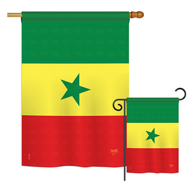 Double Sided Polyester House Flag