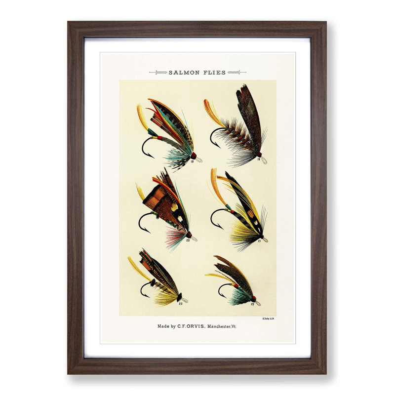 Salmon Fishing Flies Version 2 by Mary Orvis Marbury - Picture Frame Painting Print, Walnut, 60cm H x 40cm W x 2cm D