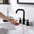 Widespread 2-handle Bathroom Faucet with Drain Assembly-61752828