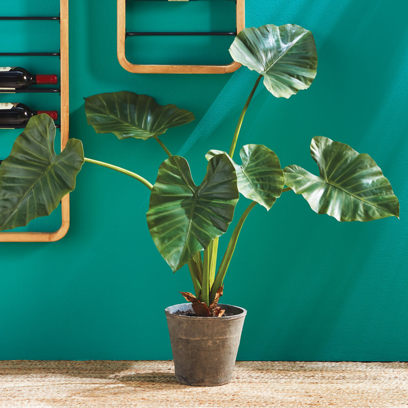 Faux Elephant Ear Plant in Ceramic Pot