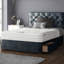 Fall Upholstered Bed-903732866-903684452-903684448