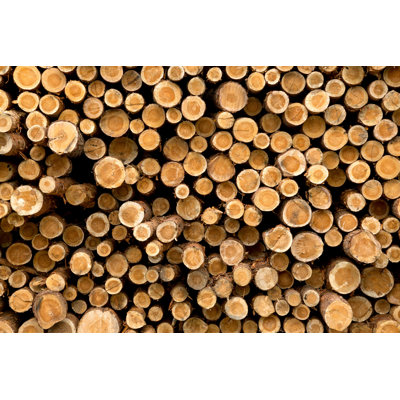 Wooden Logs - Photographie sur toile tendue