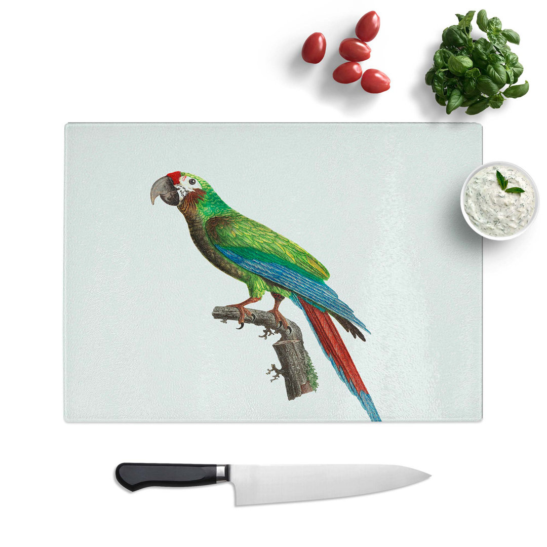 Glass Great Military Macaw Parrot by F. Levaillant Chopping Board