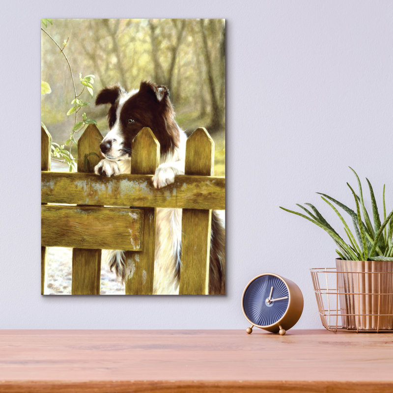 "Border collie qui regarde les vaches" par John Silver, H 16 po x l 12 po