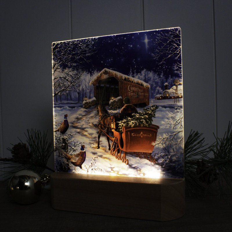 Veilleuse étoilée à nuit d'hiver