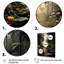 Jungle of Amazonian Dream 2 - Art mural jungle-67373743-67376472