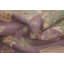 Tapis turc Oushak 9x12