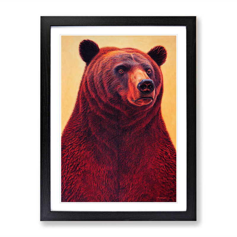 XV1022-2388X Great Grizzly Bear No.1 - Single Picture Frame Print, Black, 46cm H x 34cm W