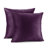  Velvet Decorative Throw Pillow Cover-1130181889-1130196907