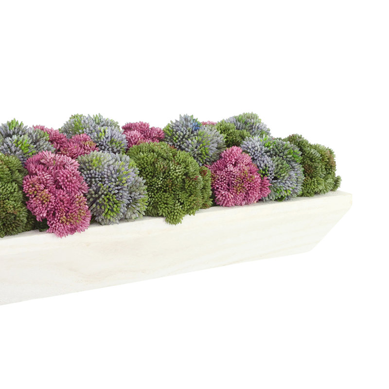 Sedum and Moss Arranged in Wood Planter, Purple/Red/Green