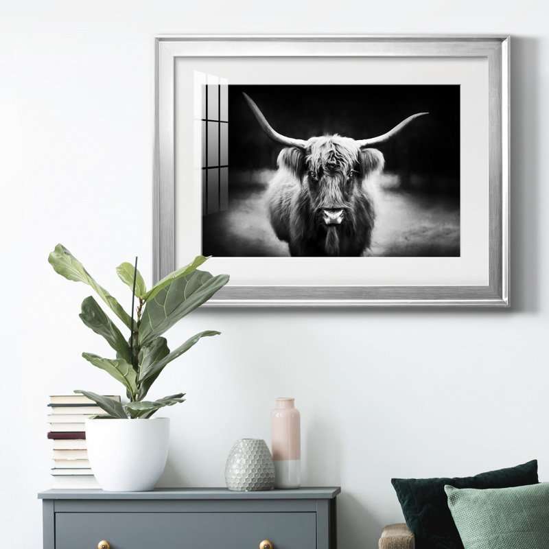" Photography Study Highland Cattle ", 26.5" H x 36.5" W x 1" D, Silver Framed, White