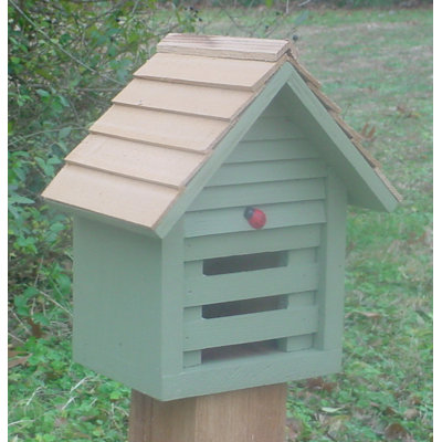 Maison coccinelle 11 po x 6 po x 6 po Medford