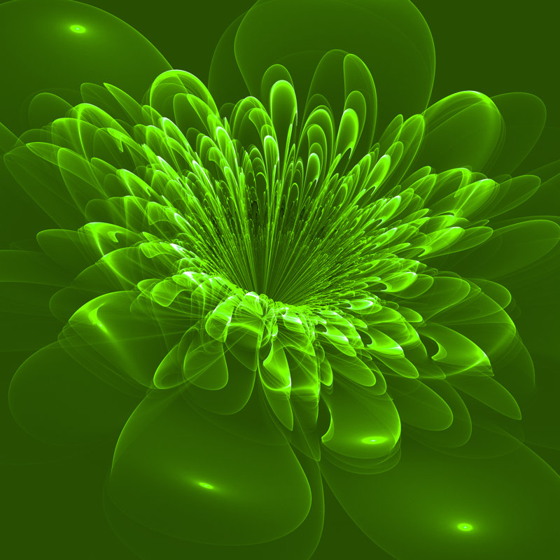 «Cindya Beautiful Flower» par Velirina, H 12 po x l 12 po x P 1,25 po