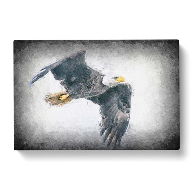 Bald Eagle High In The Sky - Wrapped Canvas Painting, 35cm H x 50cm W x 3cm D