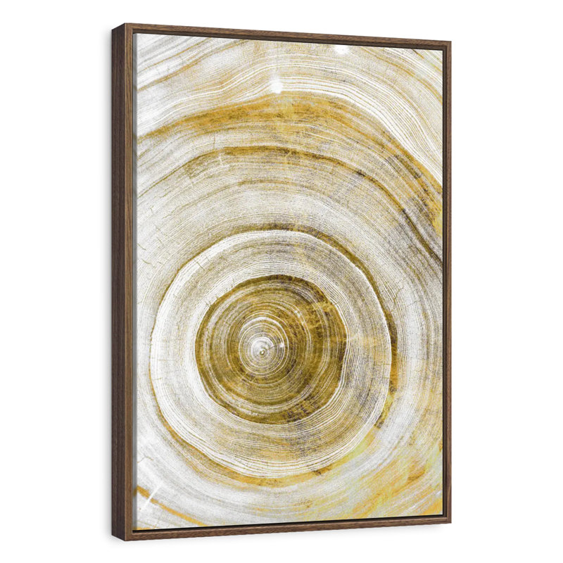 Anneaux d'arbre Molinari géométrique, 25" x 37", Floating Frame Walnut