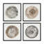 Anneaux du temps, ensemble de 4 impressions sur toile-109267972-109267976