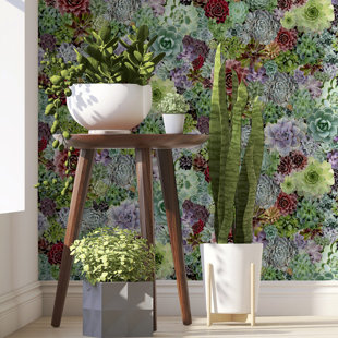 Succulent Living Wall 3.28m x 5.3cm Matte Wallpaper Roll