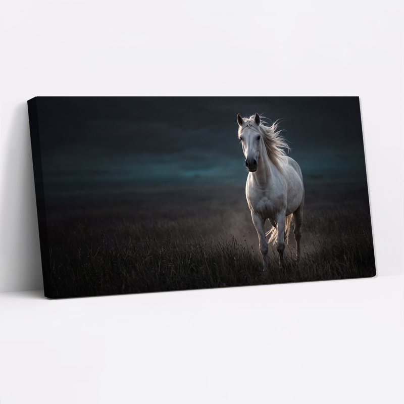Art mural sur toile fond blanc foncé, L 40 po x H 20 po