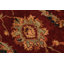Kaat Wool Oriental Rug
