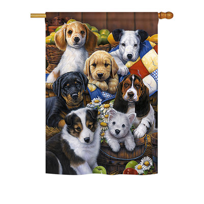 Double Sided Polyester Garden Flag