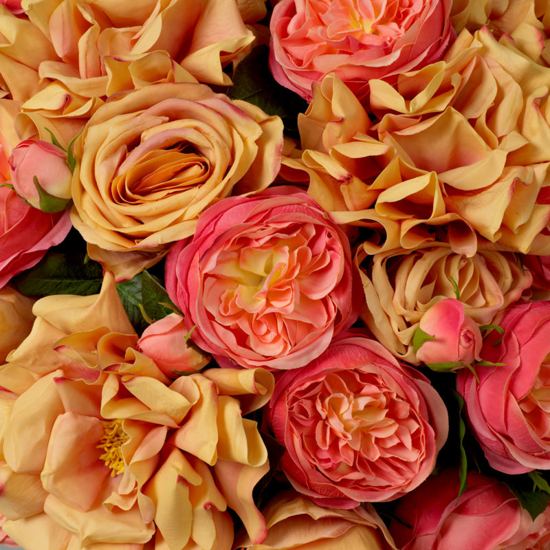 Bouquet Of Roses Real Touch Three Tone Peach 72 Pcs/3 Varieties