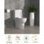 Toilette allongée 17 po à double chasse en céramique 1,1 / 1,6 GPF