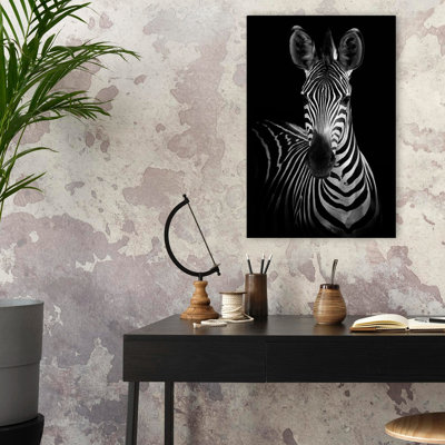Zèbre - Photographie, animaux, nature, faune, zèbres, art