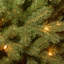 The Holiday Aisle® Downswept Douglas Fir Pencil Slim Tree with Clear Lights-533169820