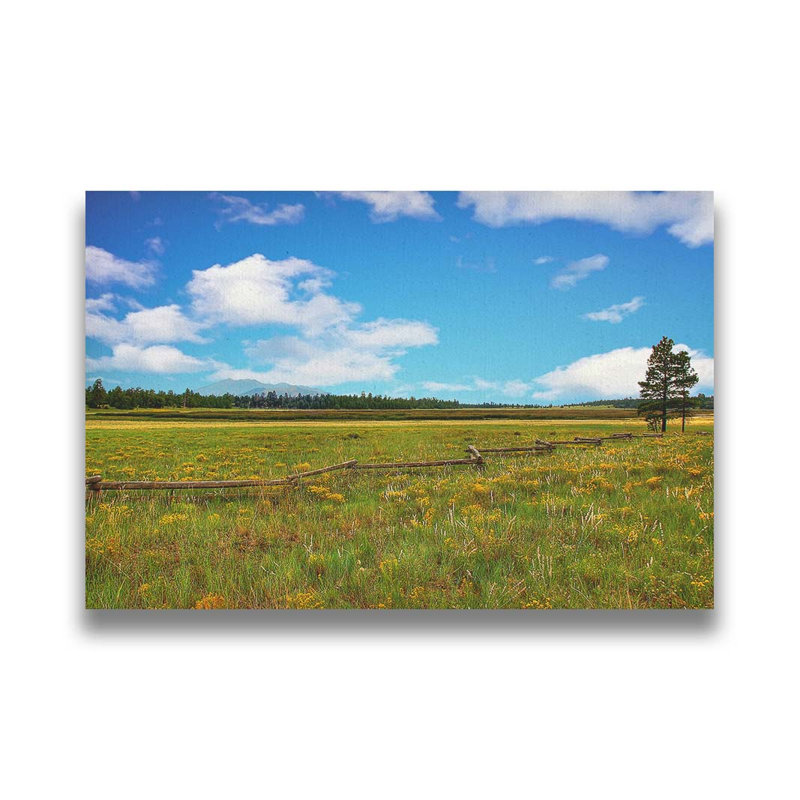 Flagstaff by Kelly Wade. Giclee Gallery, 30.5" H x 45.5" W, Framed Print without Mat, White