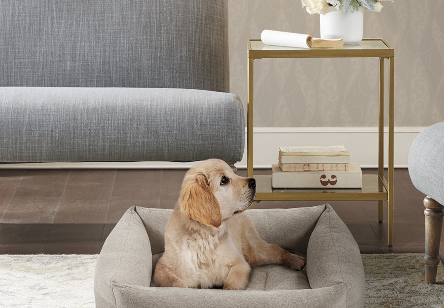 5 Tips to Create a Stylish Home with Pets
