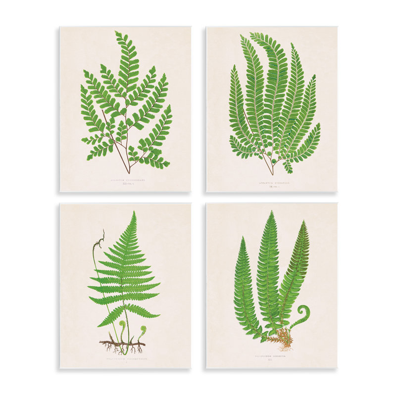 Plaque murale Subtle Green Fern Branches, design par Phillipa Katz
