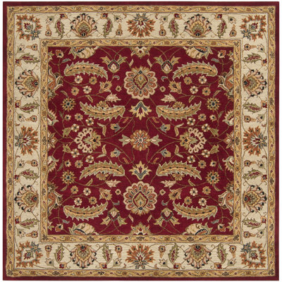 Arnedra Oriental Hand-Tufted Wool Area Rug