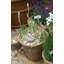 Cremont Handmade Pot Planter-16197647