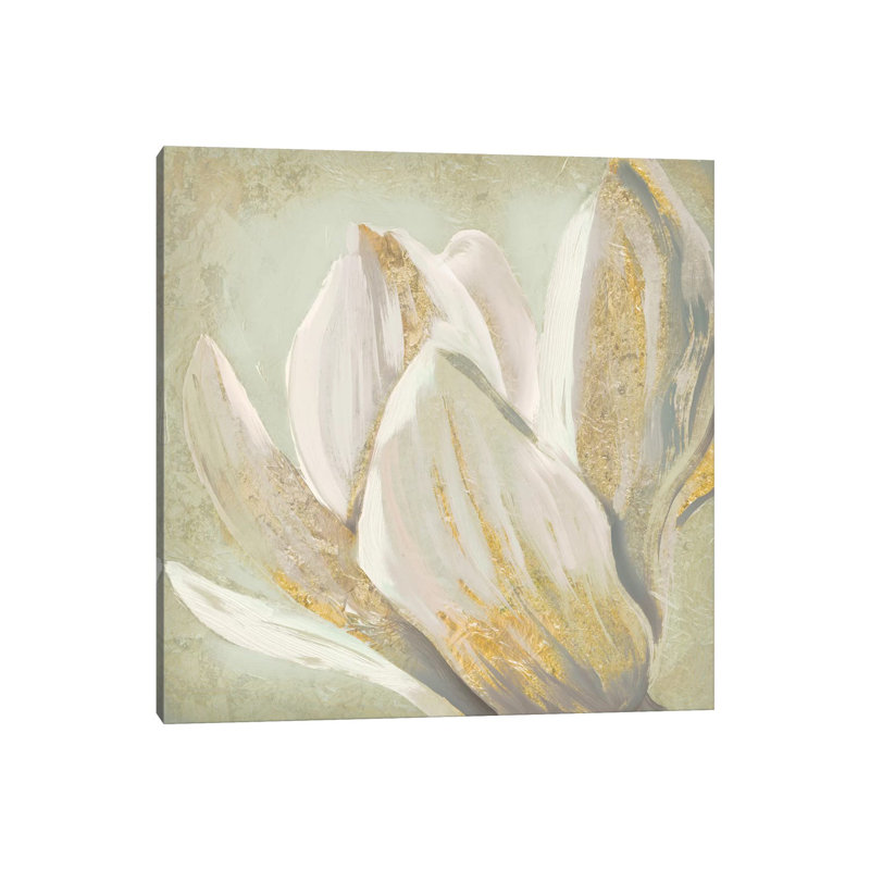 Fresh Bloom II by Edward Selkirk - Wrapped Canvas Gallery-Wrapped Canvas Giclée, 30.48 cm H x 30.48 cm W