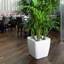 Quadro Premium Pot Planter-16493061-16493069