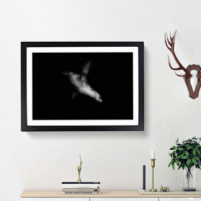 Sea Lion - Picture Frame Painting Print