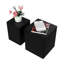 Ensemble de 2 tables d'appoint Nesting Table