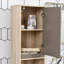 Freestanding Bathroom Cabinet