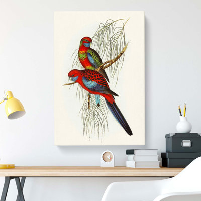 Pennants Parakeets by Elizabeth Gould - Wrapped Canvas