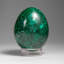 Genuine Polished Malachite Egg (334.9 Grams)