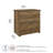 Osvald 31.26'' Wide 2 -Drawer File Cabinet-2136884457