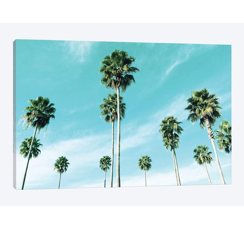 «East Coast Palms», impression sur toile, H 12 po x l 18 po x P 1,5 po, Pas de tapis, Toile tendue