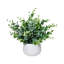 Faux plantes d'intérieur petites plantes d'eucalyptus artificielles blanches Pots de fleurs convenant à la chambre à coucher