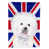 Bichon frisé (blanc et gris)
