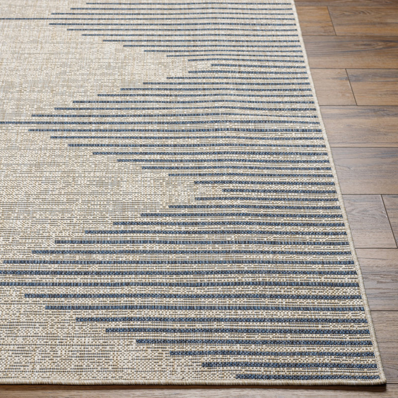 Tapis intérieur / extérieur Isidro , Rectangle de 5 pi x 8 pi