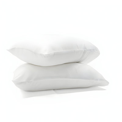 400TC Sateen Cotton Solid Pillowcases (Set Of 2)