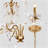 Jahmil 8 - Light Dimmable Classic / Traditional Chandelier