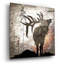 «Calling Elk» par Lightbox Journal-1697645513