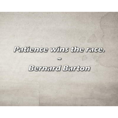 Bernard Barton Quote: Patience wins the race.